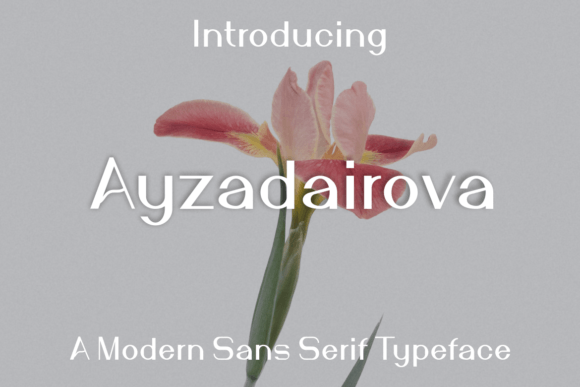 Ayzadairova: A Modern Font for a Polished Brand Look