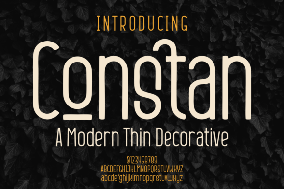 Constan Serif Font for Modern Web Design