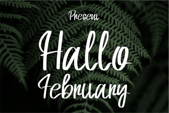 Hallo February: A Modern Script Font for Elegant Branding