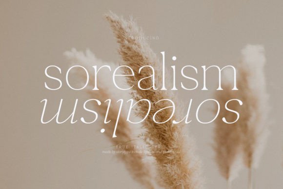 Sorealism: A Modern Serif Font for Digital Branding
